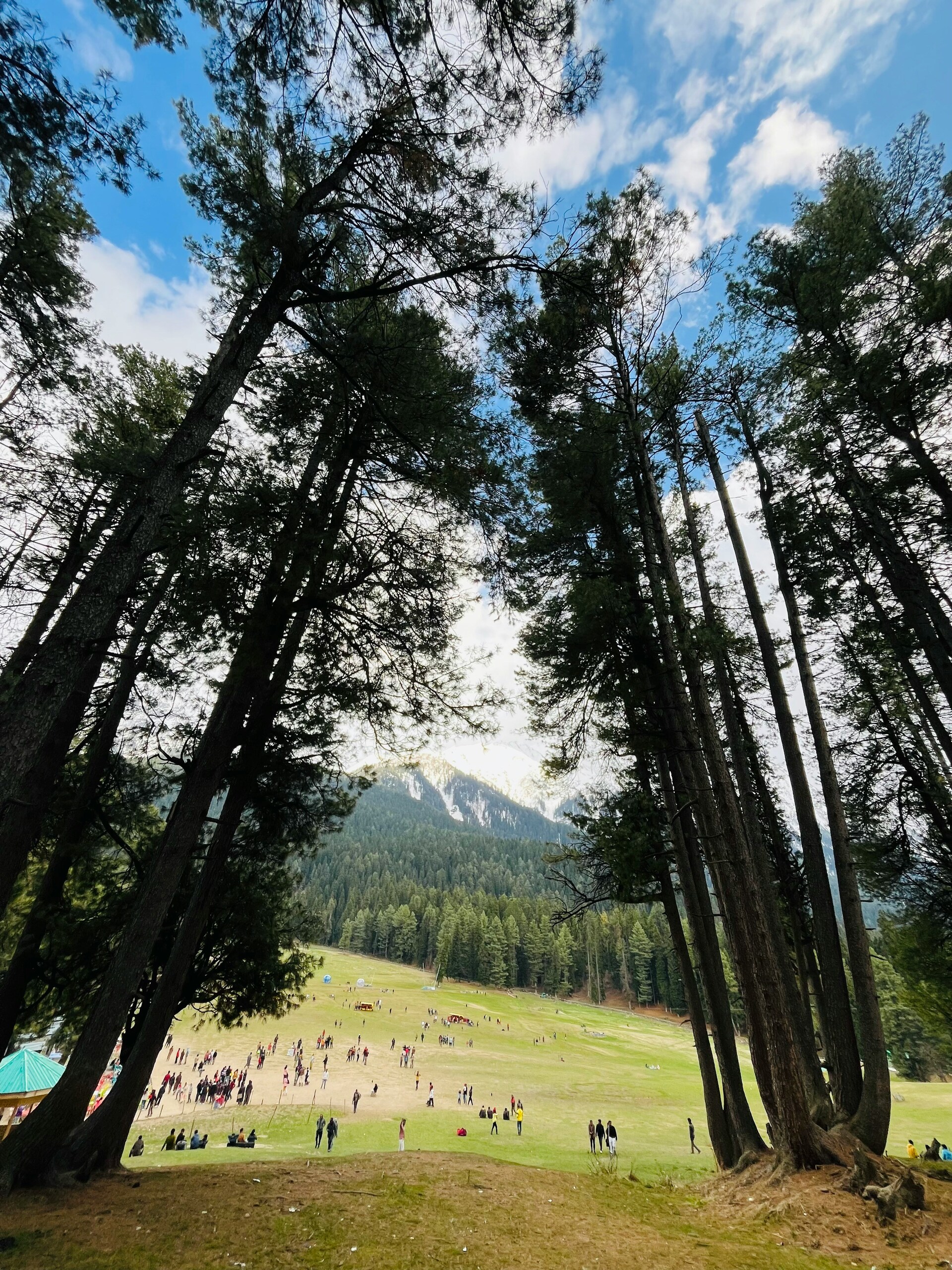 Kashmir Valley Paradise Journey
