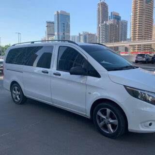 Mercedes Viano - VIP Coach
