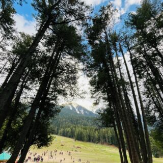Kashmir Valley Paradise Journey